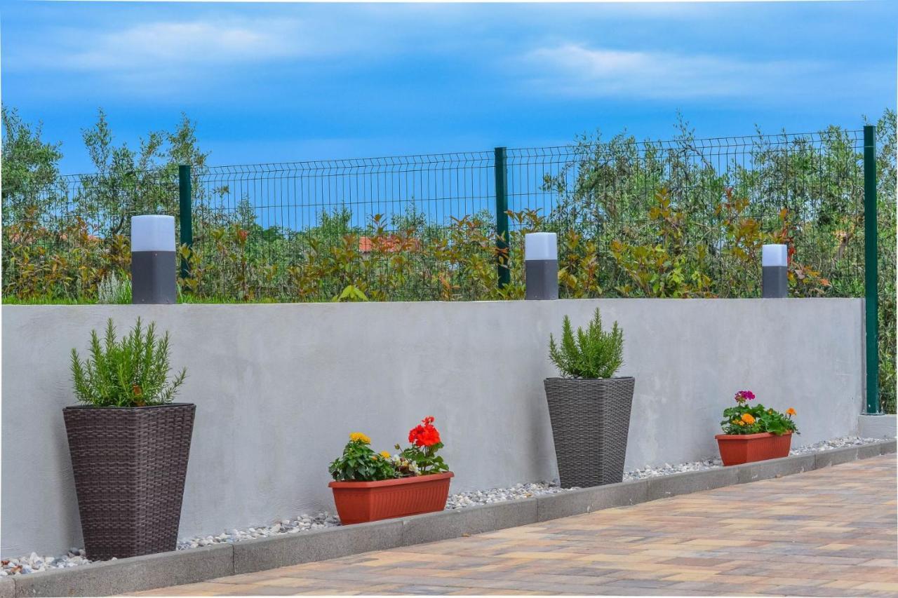 Apartment Kaplja Novigrad  ภายนอก รูปภาพ